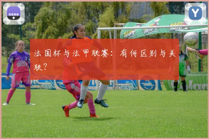 法国杯与法甲联赛:有何区别与关联?