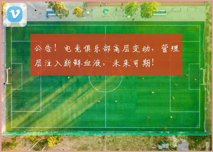 公告！电竞俱乐部高层变动，管理层注入新鲜血液，未来可期！
