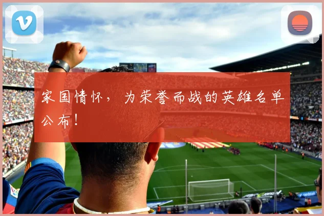 家国情怀,为荣誉而战的英雄名单公布!