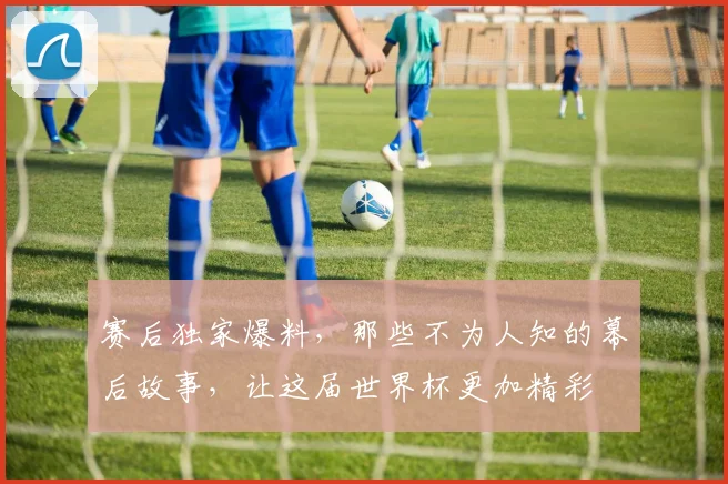 赛后独家爆料,那些不为人知的幕后故事,让这届世界杯更加精彩