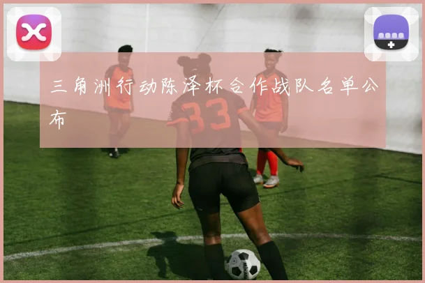 三角洲行动陈泽杯合作战队名单公布