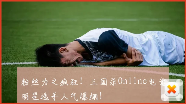 粉丝为之疯狂！三国杀Online电竞明星选手人气爆棚！